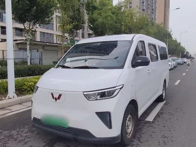 2024 Wuling Motors Wuling Yangguang 300km Comfort Passenger Version 60kW, фото 1, лот 11167395