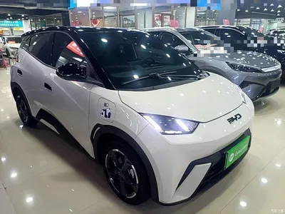 2024 BYD Seagull Glory Edition 405km Soaring Edition, фото 4, лот 10262514