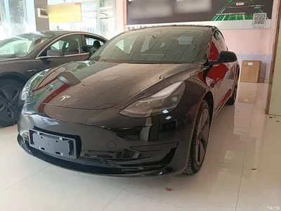 2022 Tesla Model 3 Model Rear-Wheel Drive Version, фото 1, лот 11195979