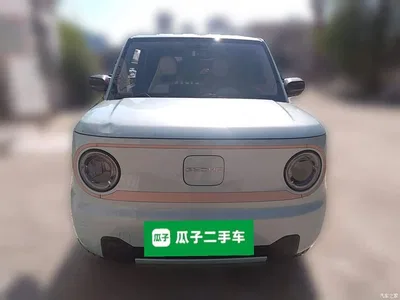 2024 Geely Galaxy Panda mini 200km Endurance Bear, фото 2, лот 10430911