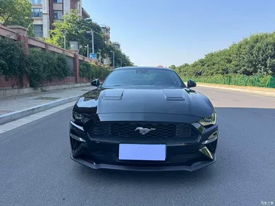 2019 Ford Mustang 2.3L EcoBoost, фото 2, лот 10279737