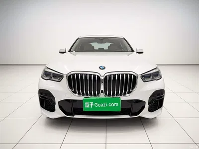 2021 BMW X5 (Import) xDrive40i M Sport Package, фото 2, лот 10405259