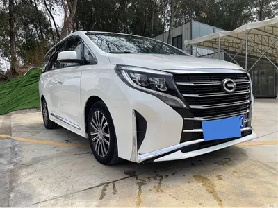 2021 GAC Trumpchi Trumpchi M8 Leading Show Series 390T Prestige Edition, фото 3, лот 10420042