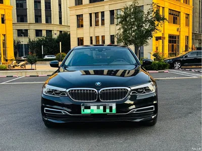 2020 BMW 5 Series New Energy 530Le Range Upgrade Pioneer Edition, фото 2, лот 10829158