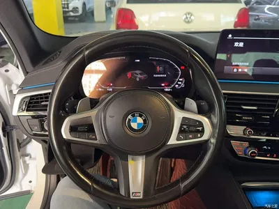 2021 BMW 5 Series 530Li Leading M Sport Package, фото 3, лот 10479186