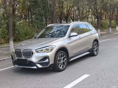 2020 BMW X1 sDrive20Li Premium Edition, фото 1, лот 10467669