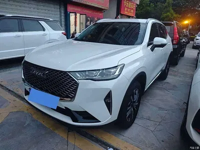 2021 Haval H6 3rd Gen 1.5T Auto 2WD Pro, фото 1, лот 11479741
