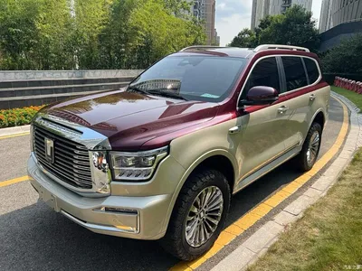 2022 Tank 500 3.0T Premium Custom Edition 5-Seater, фото 1, лот 10889206