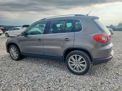 2010 VOLKSWAGEN TIGUAN SE, фото 2, лот 10836904