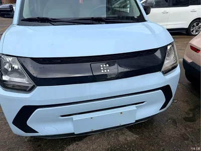 2022 Dongfeng Fengguang MINIEV Practical Style Utility Type, фото 4, лот 11160999