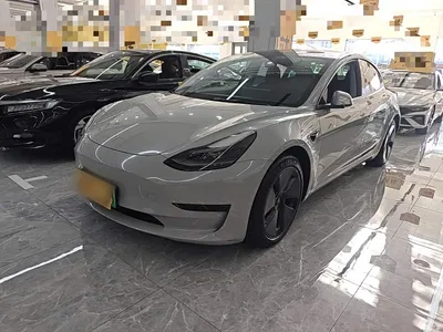 2021 Tesla Model 3 Standard Range Rear-Wheel Drive Upgrade 3D6, фото 1, лот 10381587
