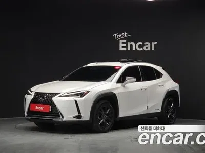 2020 Lexus UX 250h 2.0 2WD, фото 1, лот 10033042