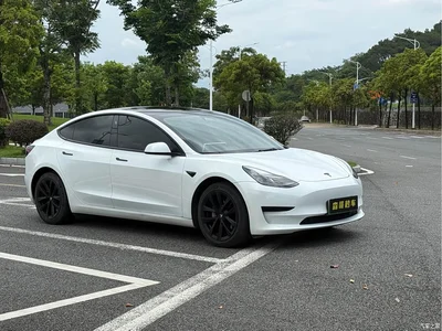 2021 Tesla Model 3 Standard Range Rear-Wheel Drive Upgrade 3D6, фото 2, лот 10352784