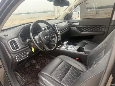 2019 Great Wall Pao 2.0T Automatic Gasoline 4WD Comfort GW4C20B, фото 4, лот 10246188