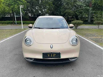 2021 Ora Good Cat 400km Standard Range Athena Edition (LFP), фото 2, лот 10447810