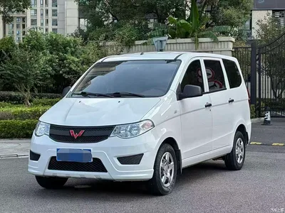 2020 Wuling Motors Wuling Hongguang 1.2L S Basic China VI LSI, фото 1, лот 10403883