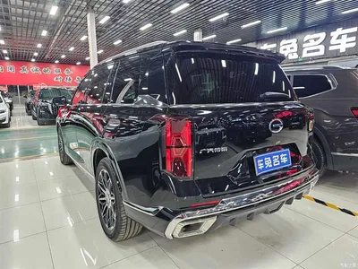 2025 GAC Trumpchi Trumpchi GS8 Pilot Series 2.0TGDI 2WD Luxury Edition 5-seater, фото 3, лот 10420323