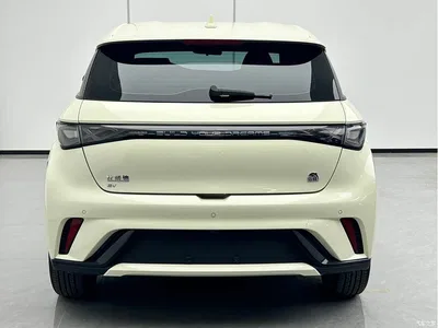 2023 BYD Dolphin 420km Fashion Edition, фото 3, лот 10407383