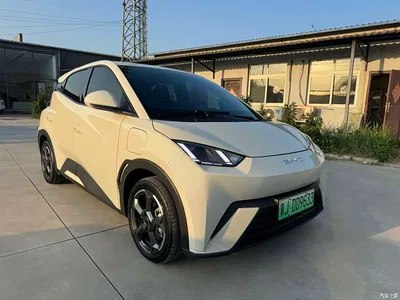 2023 BYD Seagull Freedom Edition, фото 3, лот 10256752