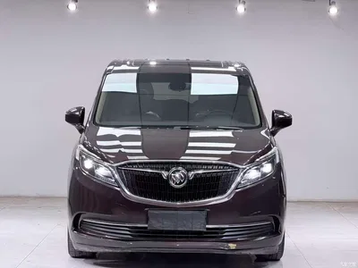 2017 Buick GL8 ES 28T Luxury China V, фото 2, лот 10246261