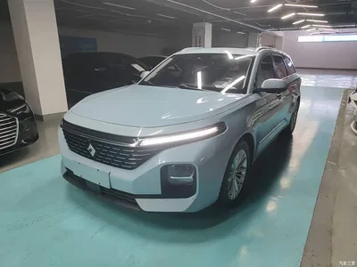 2021 Baojun Valli 1.5T Dali Sky CVT Premium, фото 2, лот 10413658