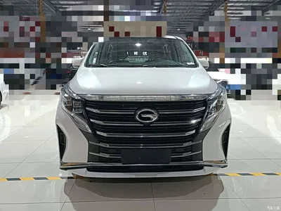 2021 GAC Trumpchi Trumpchi M8 Leading Show Series 390T Premium Edition, фото 3, лот 10419715