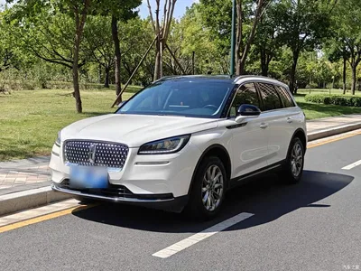 2020 Lincoln Adventurer 2.0T 2WD Premium Enjoyment Edition, фото 1, лот 10442063