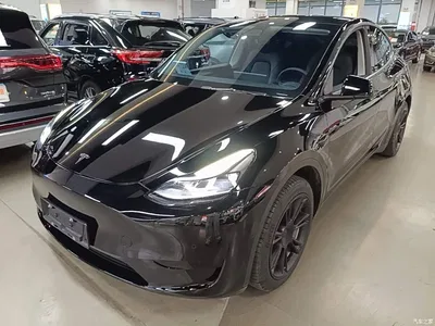 2022 Tesla Model Y Facelift Rear-Wheel Drive Version, фото 1, лот 10955714