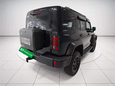 2024 Tank 300 Model 2.0T Challenger, фото 4, лот 10345743