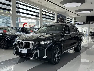2023 BMW X5 xDrive 30Li Premium M Sport Package, фото 1, лот 10462714