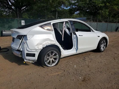 2023 TESLA MODEL Y, фото 3, лот 10855751