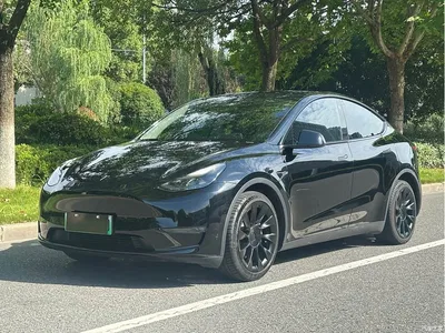2022 Tesla Model Y Rear-Wheel Drive Version, фото 1, лот 10399622