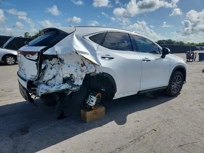 2025 LEXUS NX 350 PREMIUM, фото 3, лот 10843312