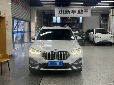 2021 BMW X1 sDrive20Li Exclusive, фото 2, лот 11580839