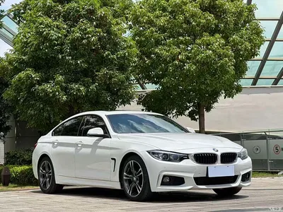 2017 BMW 4 Series 425i Gran Coupe Leading M Sport Package, фото 3, лот 10411397
