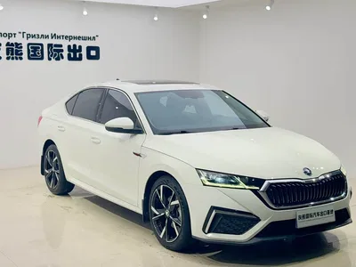 2022 Škoda Octavia PRO TSI280 Luxury Edition, фото 3, лот 10351071
