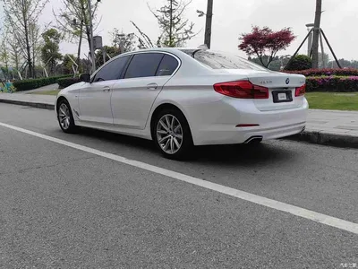 2018 BMW 5 Series 528Li Launch Special Edition, фото 4, лот 11475289