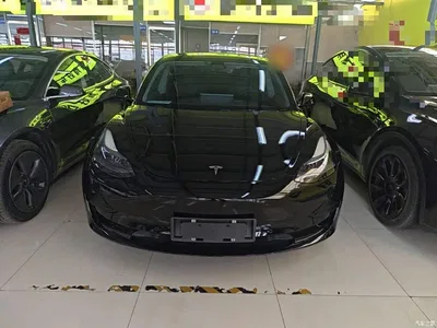 2022 Tesla Model 3 Model Rear-Wheel Drive Version, фото 3, лот 10382243