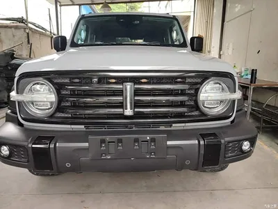 2021 Tank 300 Off-road Version 2.0T Conqueror, фото 3, лот 11396509