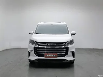 2019 SAIC Maxus Maxus G50 1.5T Automatic Luxury Edition China VI, фото 3, лот 11162327