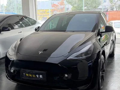 2024 Tesla Model Y Rear-Wheel Drive Version, фото 1, лот 10452421