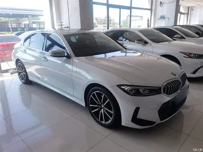 2024 BMW 3 Series 320Li M Sport Package, фото 4, лот 10458171