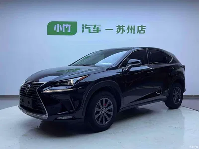 2020 Lexus NX 200 FWD Sharp Edition China VI, фото 1, лот 10317114