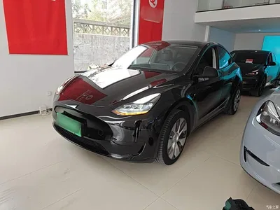 2022 Tesla Model Y Facelift Rear-Wheel Drive Version, фото 2, лот 10889886