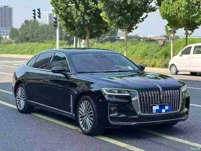2022 Hongqi H9 2.0T Smart Connect Flag Smooth Edition, фото 3, лот 10288270