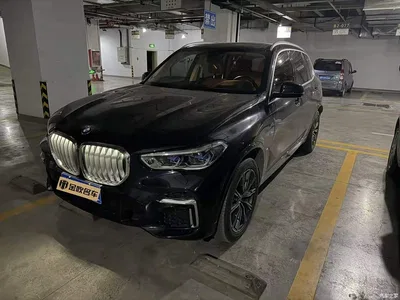 2022 BMW X5 Facelift xDrive 30Li Premium M Sport Package, фото 1, лот 11177628