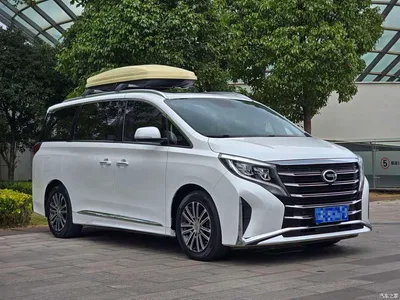 2021 GAC Trumpchi Trumpchi M8 Leading Show Series 390T Prestige Edition, фото 3, лот 10675964