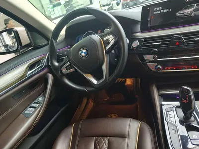 2019 BMW 5 Series 530Li Premium Luxury Package, фото 4, лот 11218541