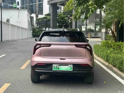 2023 Geely E Firefly 401KM Super Fan Special Edition 5-Seater, фото 4, лот 11157014