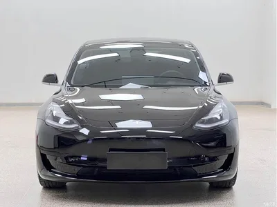 2020 Tesla Model 3 Standard Range Rear-Wheel Drive Upgrade, фото 2, лот 10366472
